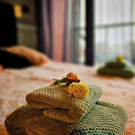 Point Of View * ビィドゴシュチュ