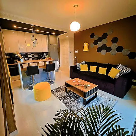 Apartment Point Of View